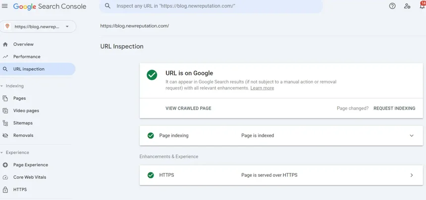 Check indexed site on Google search console