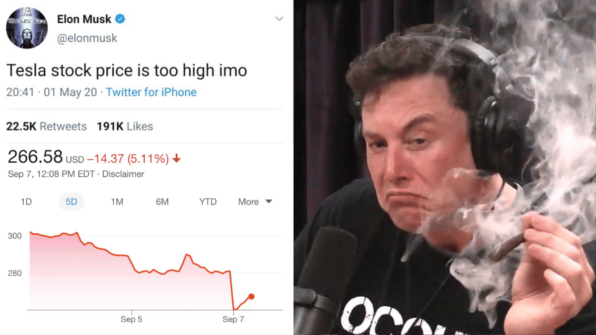 Elon Must Getting High on JRE