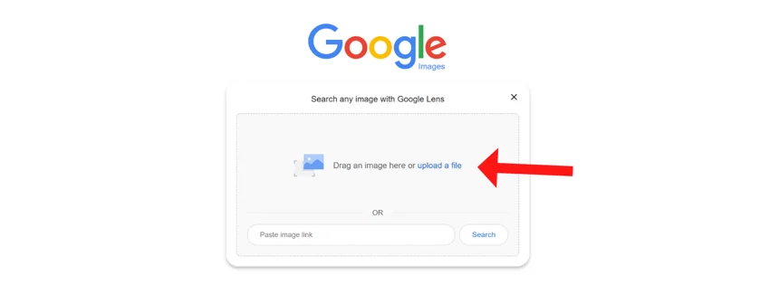 upload a photo to reverse image search
