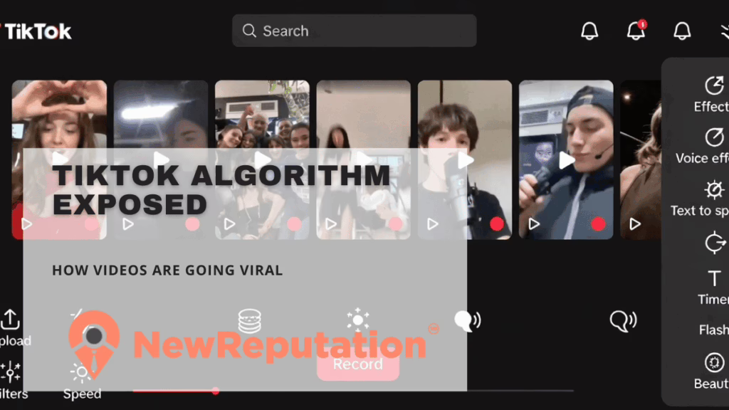 TikTok Algorithm Exposed