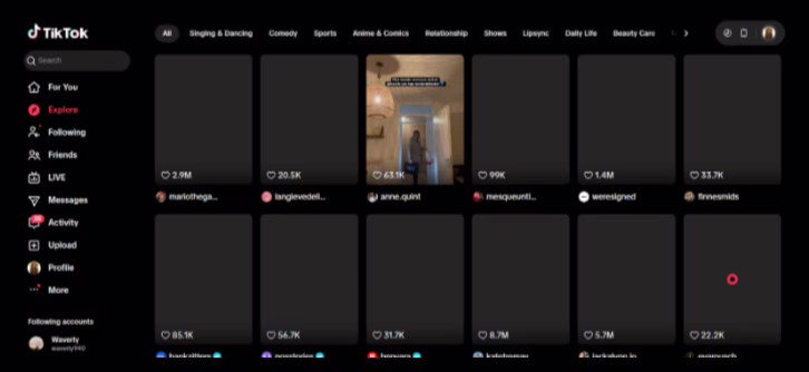 TikTok Algorithm Exposed Overview